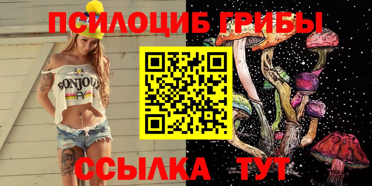 Галлюциногенные грибы Psilocybine cubensis Зерноград